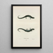 Salamandre granulosa - John Edwards Holbrook — cuadro enmarcado en la pared
