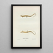 Salamandre longicaude - John Edwards Holbrook — cuadro enmarcado en la pared