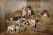 perros y terriers en un establo - John Emms — vista de la obra