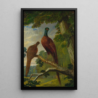 John Frederick Herring Snr - A Pheasant Cock And Hen.webp