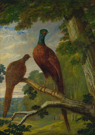 John Frederick Herring Snr - A Pheasant Cock And Hen.webp