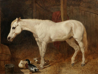 John Frederick Herring Snr - A grey horse in a stable.webp