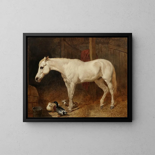 John Frederick Herring Snr - A grey horse in a stable.webp