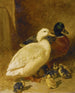 Patos y patitos - John Frederick Herring el Viejo — vista de la obra
