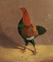 Fighting Cock with Dark Breast, turned to the left - John Frederick Herring the Elder — artwork view