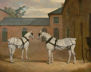 John Frederick Herring Snr - Grey carriage horses in the coachyard at Putteridge Bury Hertfordshire.webp