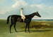 El caballo de carreras marrón oscuro de M. O'Brien, Jonathan Wild, con el jinete T. Ryder - John Frederick Herring el Viejo — vista de la obra