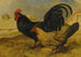 Los granjeros del patio - John Frederick Herring el Viejo — vista de la obra
