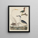 Green Heron, Black-crowned Night Heron, juvenile heron, and great white heron - John G. Warnicke — framed artwork on a wall