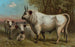 Bétail de Chillingham - John George Wood — artwork view