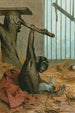 Chimpancé - John George Wood — vista de la obra