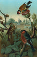 Grupo de pinzones - John George Wood — vista de la obra