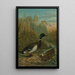 de pato colvert - John George Wood — cuadro enmarcado en la pared