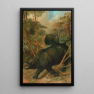 John George Wood - Rhinoceros.webp