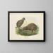 Apteryx oweni - John Gerrard Keulemans — cuadro enmarcado en la pared
