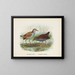 Ortygometra affinis and Ortygometra tabuensis - John Gerrard Keulemans — framed artwork on a wall