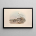 A monograph of the Macropodidae or kangaroo family Pl15 - John Gould — framed artwork on a wall
