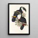 A monograph of the Ramphastidae or toucan family Pl01 - John Gould — framed artwork on a wall