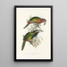 A monograph of the Ramphastidae or toucan family Pl21 - John Gould — framed artwork on a wall