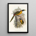 Una monografía de los Ramphastidae o familia de los tucanes Pl28 - John Gould — cuadro enmarcado en la pared