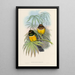 Una monografía de los Trogonidae o familia de los trogones Pl06 - John Gould — cuadro enmarcado en la pared