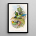Eurylaime de Dalhousie - John Gould — cuadro enmarcado en la pared