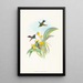 Damophila amabilis - John Gould — cuadro enmarcado en la pared