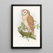 Petit-duc indien - John Gould — cuadro enmarcado en la pared