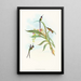 Tharmastura enicura - John Gould — cuadro enmarcado en la pared