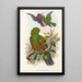 Los pájaros de Nueva Guinea y las islas Papúas adyacentes Pl31 - John Gould — cuadro enmarcado en la pared
