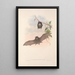 The mammals of Australia Pl153 - John Gould — framed artwork on a wall