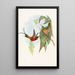 Topaza pyra - John Gould — cuadro enmarcado en la pared