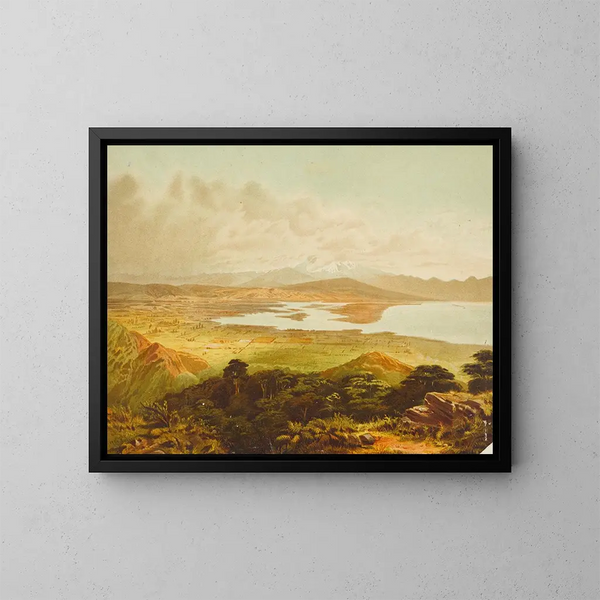 Llanuras de Waimea y campo cultivado cerca de Nelson - John Gully — cuadro enmarcado en la pared
