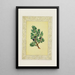 Chypre - John Henry Ingram — cuadro enmarcado en la pared