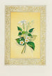 Jasmin et fleur de fraisier - John Henry Ingram — artwork view