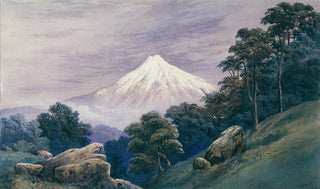 John Hoyte - Mt Egmont.webp