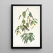 Parulina otoñal - John James Audubon — cuadro enmarcado en la pared