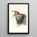 Rustic Swallow Painting - John James Audubon — framed artwork on a wall