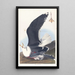 Gaviota con dorso negro - John James Audubon — cuadro enmarcado en la pared
