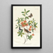 Paruline à tête brune mangeuse de vers - John James Audubon — framed artwork on a wall