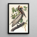 Pelícano marrón Pelecanus fuscus - John James Audubon — cuadro enmarcado en la pared