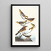 Oriole de Bullock, Oriole de Baltimore, Jilguero mexicano, Zorzal variado, Zorzal de los arroyos - John James Audubon — cuadro enmarcado en la pared