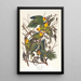 Perroquet de Caroline - John James Audubon — cuadro enmarcado en la pared