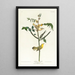 Paruline des enfants - John James Audubon — cuadro enmarcado en la pared