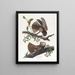 La viuda de Chuck Wills - John James Audubon — cuadro enmarcado en la pared