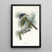 Mésange huppée - John James Audubon — cuadro enmarcado en la pared