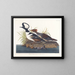Canard huppé - John James Audubon — cuadro enmarcado en la pared