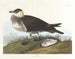 Hunter - John James Audubon — artwork view