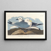 Seagull tridactyle - John James Audubon — framed artwork on a wall