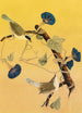 Parulines del Maryland - John James Audubon — vista de la obra